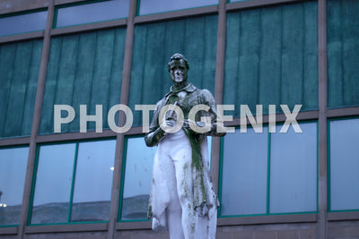 The Statue